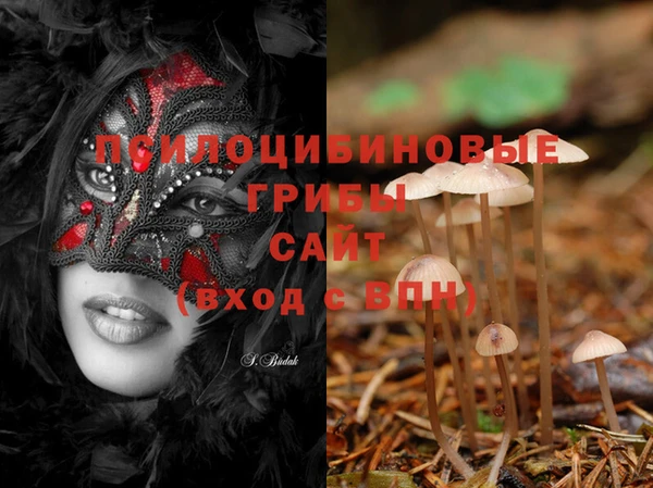 соль курить ск Гусиноозёрск