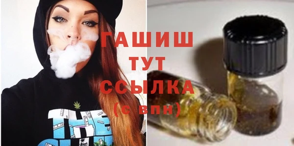 хмурый Гусь-Хрустальный