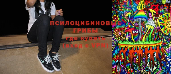 спиды Гусев