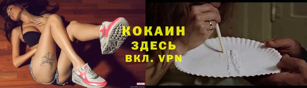 хмурый Гусь-Хрустальный
