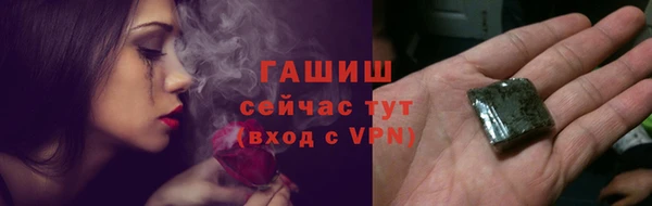хмурый Гусь-Хрустальный