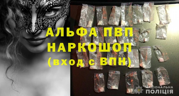 спиды Гусев