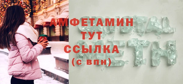 хмурый Гусь-Хрустальный
